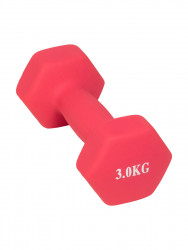 Гантель Profit MDK-101-4 (3 кг) розовый - фото